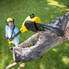 Best Lawn Watering Services  in Montevlo, AL